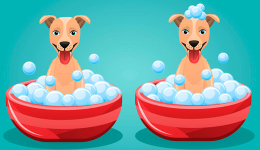 ゴールデンレトリバー オペル（Golden Opel）-犬のお風呂事情